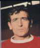 thm_shay_brennan_portrait.jpg