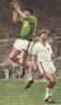 thm_dunc57cupfinal.jpg