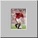garynev2.jpg