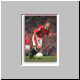 gnev2.jpg